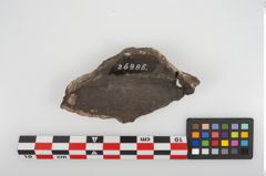 Foto von Schale (NHMW-PRAE-026886)